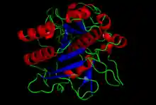 Crystal structure of Subtilisin - 1st2.png