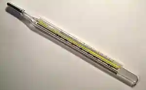 Clinical thermometer 38.7.JPG