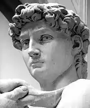 Michelangelo's David - 63 grijswaarden.png