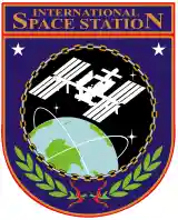 ISS insignia.svg