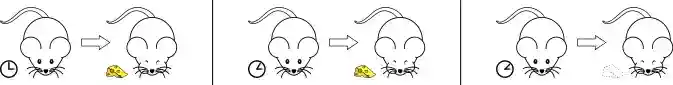 Temporal Conditioning.svg