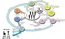 A flowchart diagram showing the components of the ISS life support system.