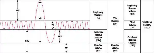 Output of a 'spirometer'