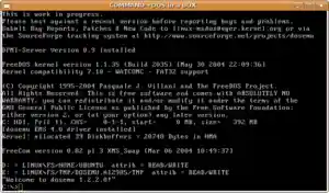 DOSEMU Running on C:\