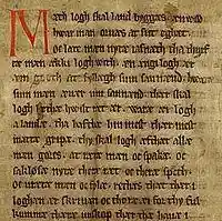 Codex Holmiensis CE 1350.jpg