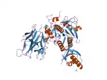 PDB 2pmw EBI.png