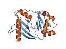 PDB 1wj9 EBI.jpg