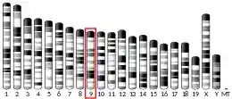 Chromosome 9 (mouse)