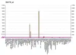 PBB GE MB 204179 at fs.png