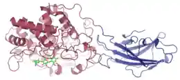 Cellulase 1JS4.png
