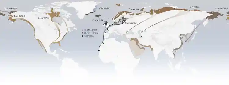Distribution map