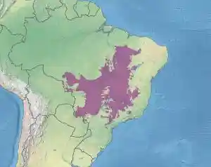 Ecoregion NT0704.svg