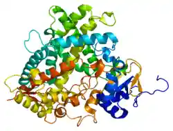 Protein CYP1A2 PDB 2hi4.png