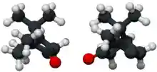 Ball and stick model of camphor (both enantiomers).