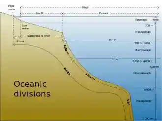 Drawing showing divisions according to depth and distance from shore