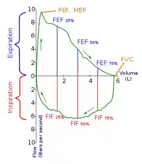 Flow-volume-loop.svg