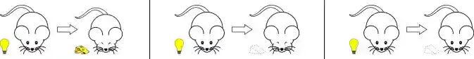 Classical conditioning - extinction.svg