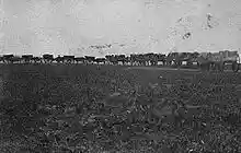A line of wooden carts with wagon wheels pulled by oxen move down a path through a prairie