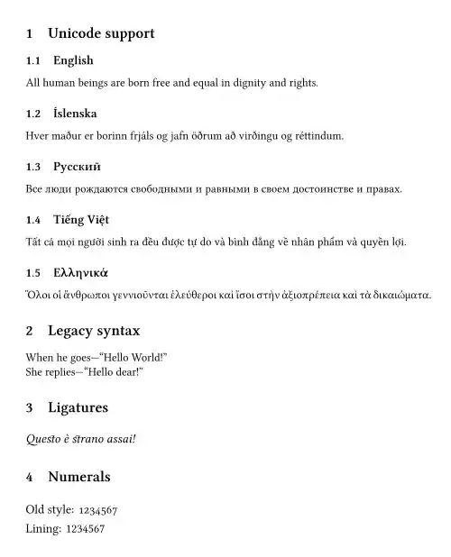 The rendered output.