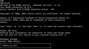 Screenshot of the default MySQL command-line banner and prompt