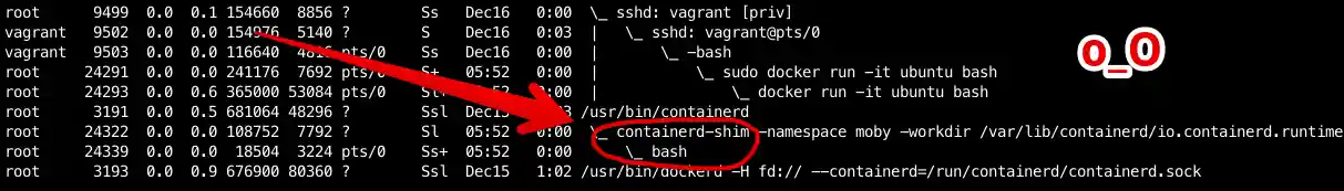 Spotting container runtime shim process