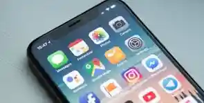 LeafyCode team preview