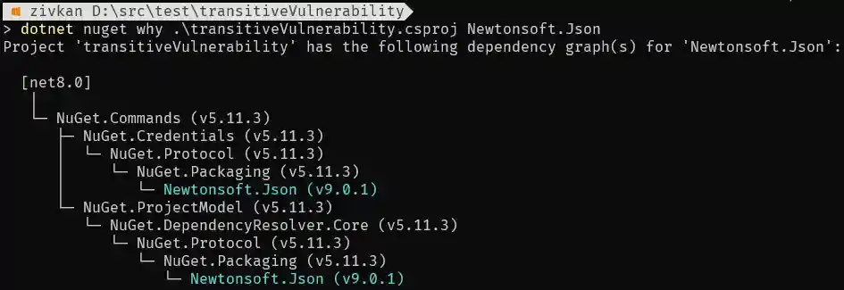 dotnet nuget why example