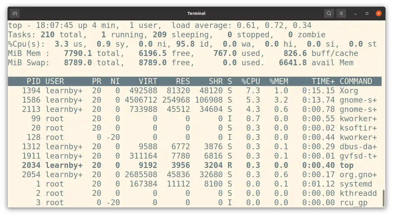 sample screenshot for the top command