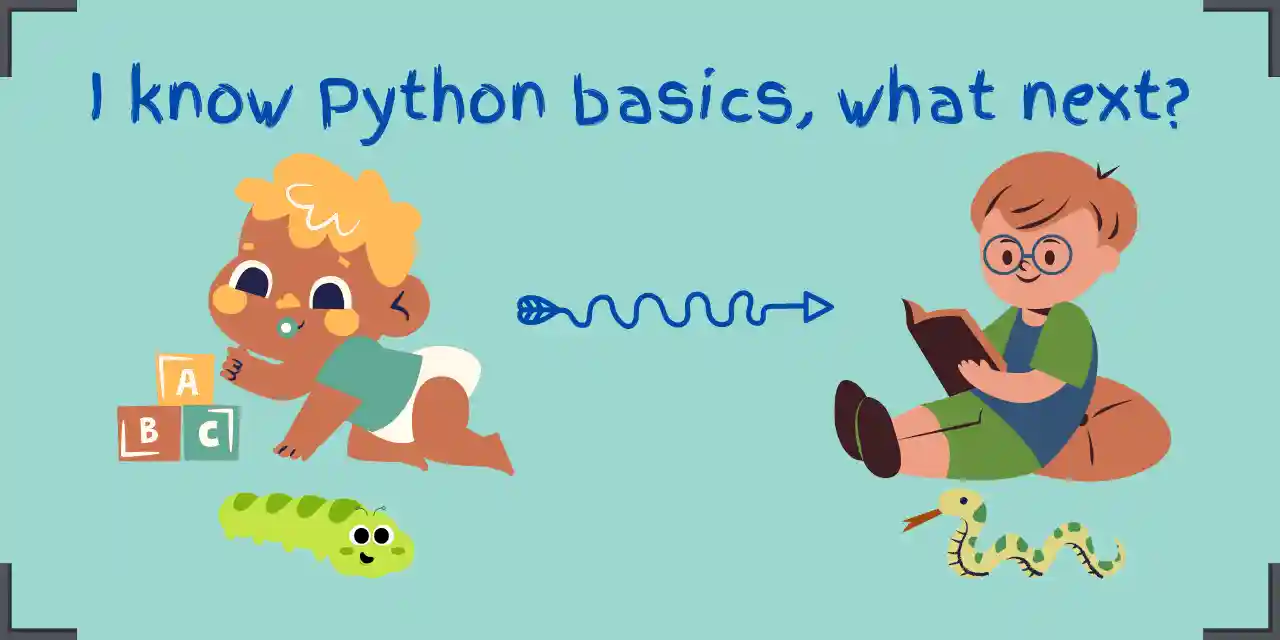Python what next