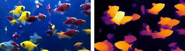 underwater-depth-anything-large – LearnOpenCV underwater monocular depth perception depth anything inference large
