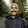 Remy Loubradou's profile photo
