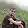 Siddharth Shankar's profile photo