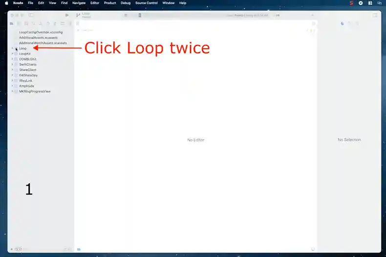 initial xcode display, click on loop to populate middle pane