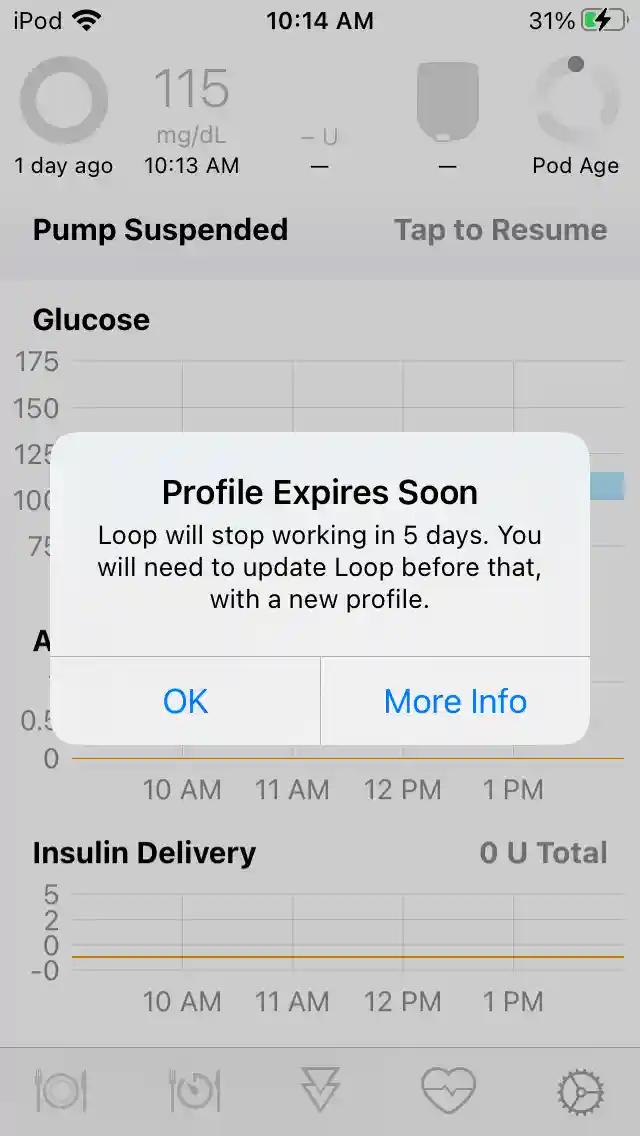 Notification display when near the Loop App expiration date