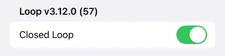 Determine current app version on app settings screen