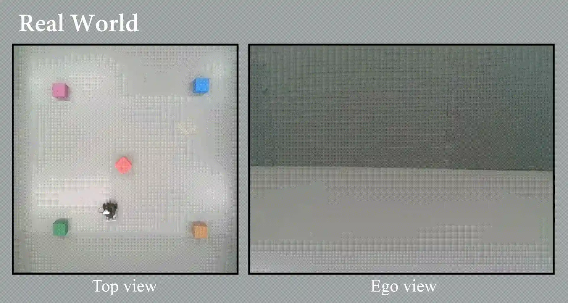 egopush.gif
