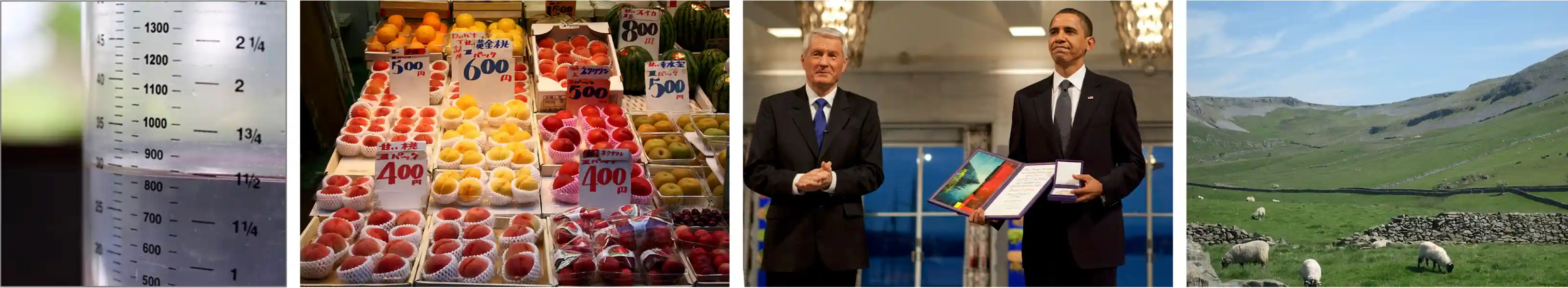 arithmetic reasoning