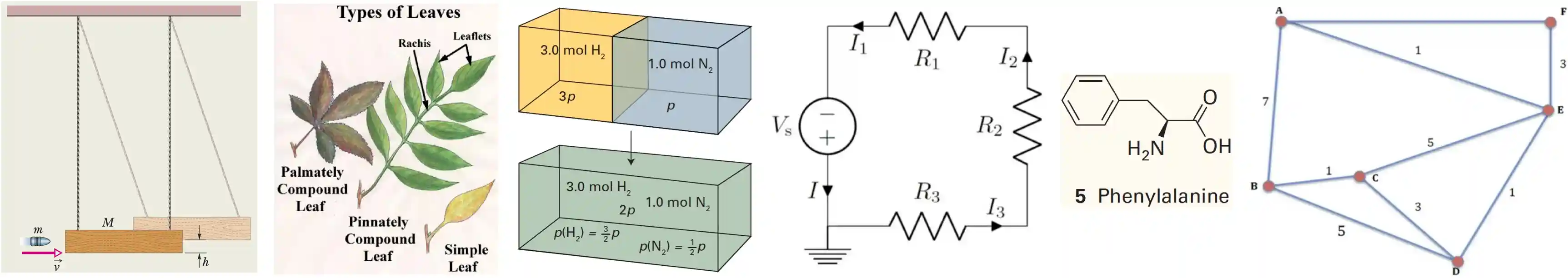 arithmetic reasoning