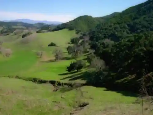 Eine Landschaft auf Bajor.