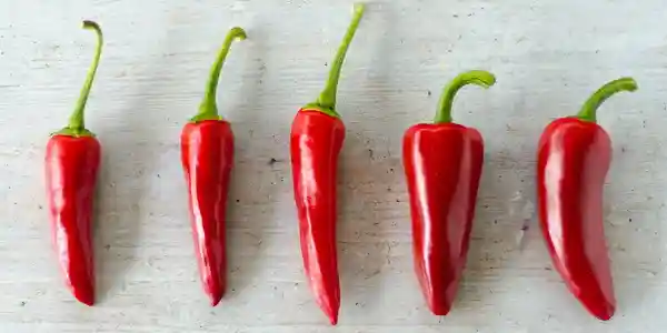row of chili peppers