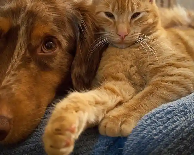 Natural Image Grayscale