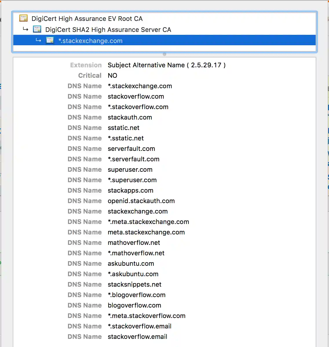 Main Certificate
