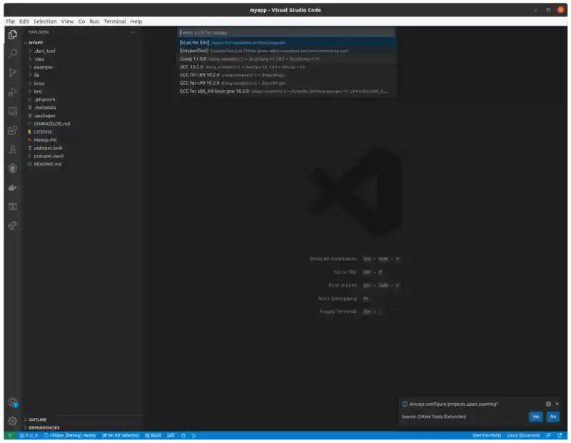 Flutter uses a Clang compiler, so choose Clang.