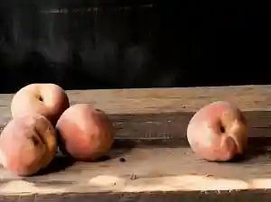 fruchtig! Kunstgeschichtlicher Vortrag