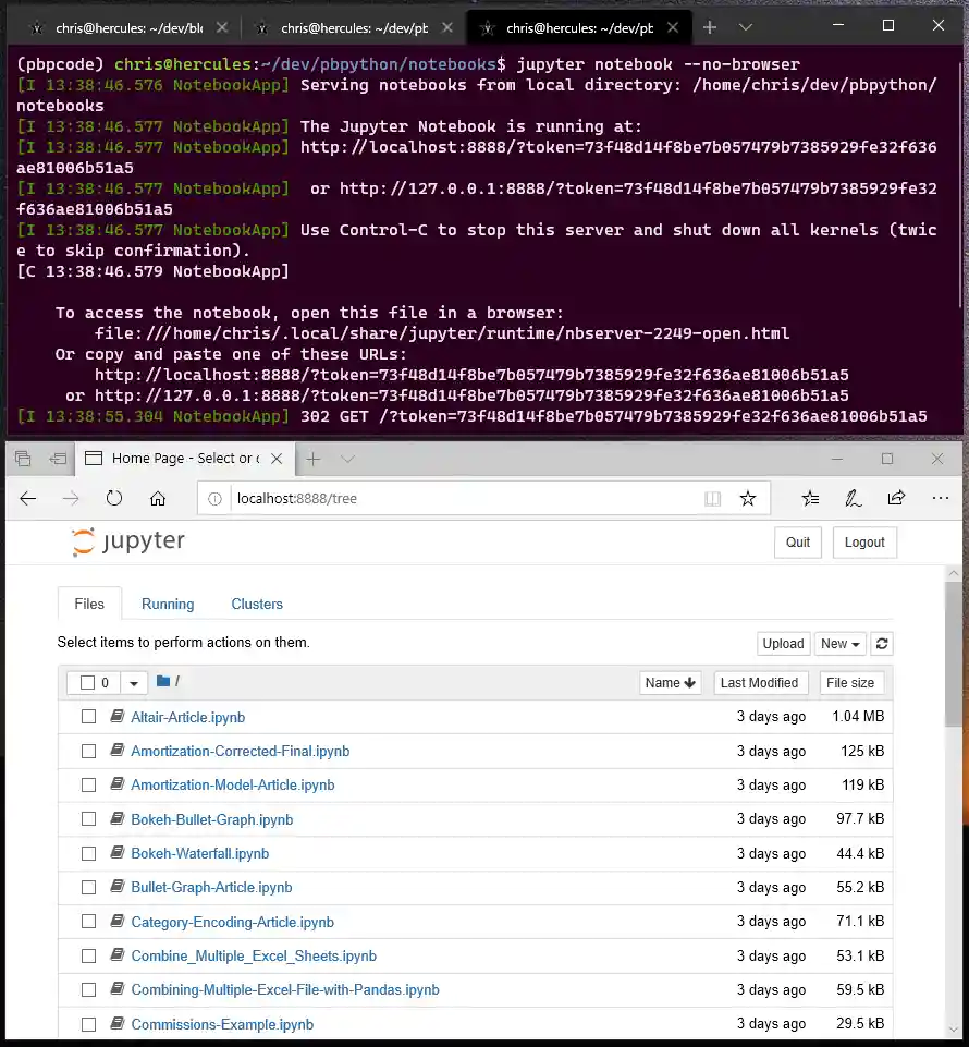 Launching a Jupyter Notebook