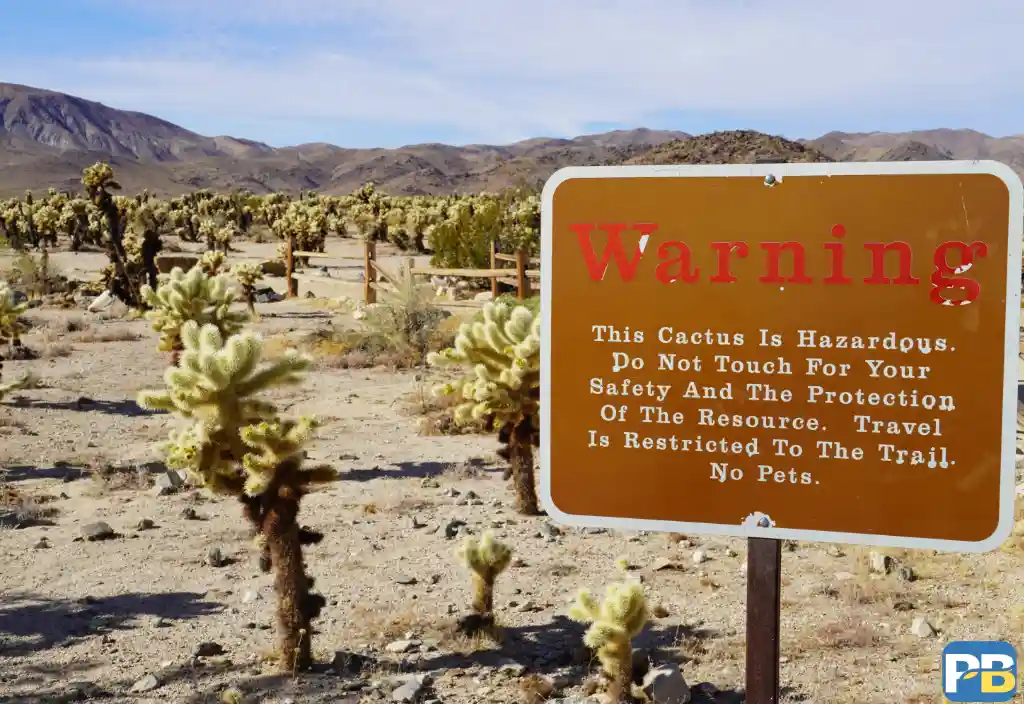 article header image