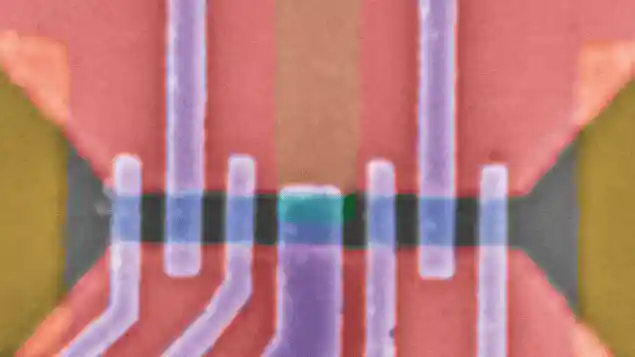 Scanning electron micrograph image showing wires and the location of the two quantum dots used in the experiment