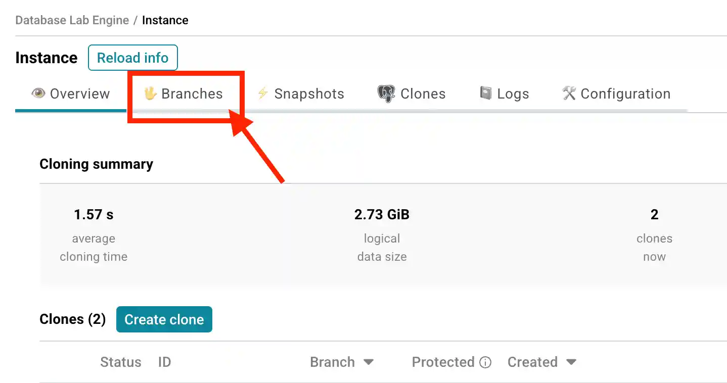 Database Lab instance page / Create branch