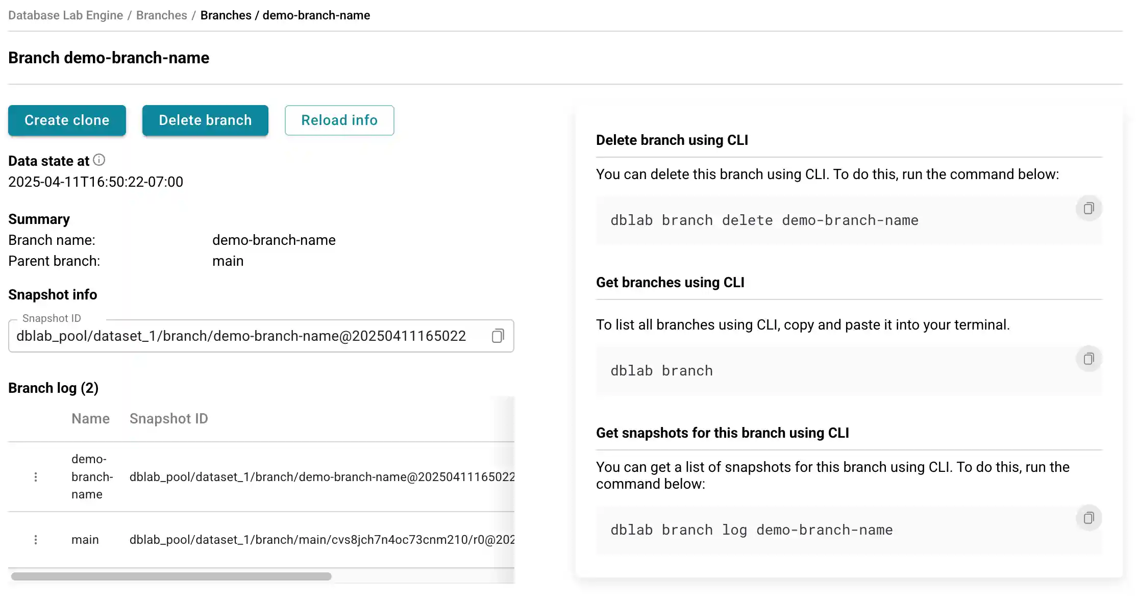 Database Lab instance page / Create branch