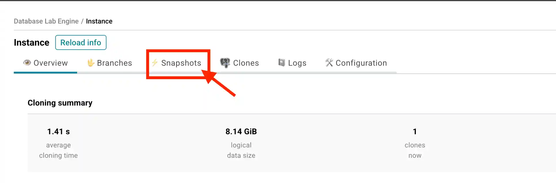 Database Lab instance page / Create snapshot